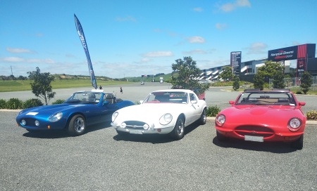Gathering of Cheetahs at Hampton Downs 17 October 2019